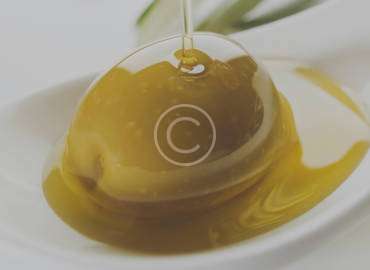 Gourmet Flavour